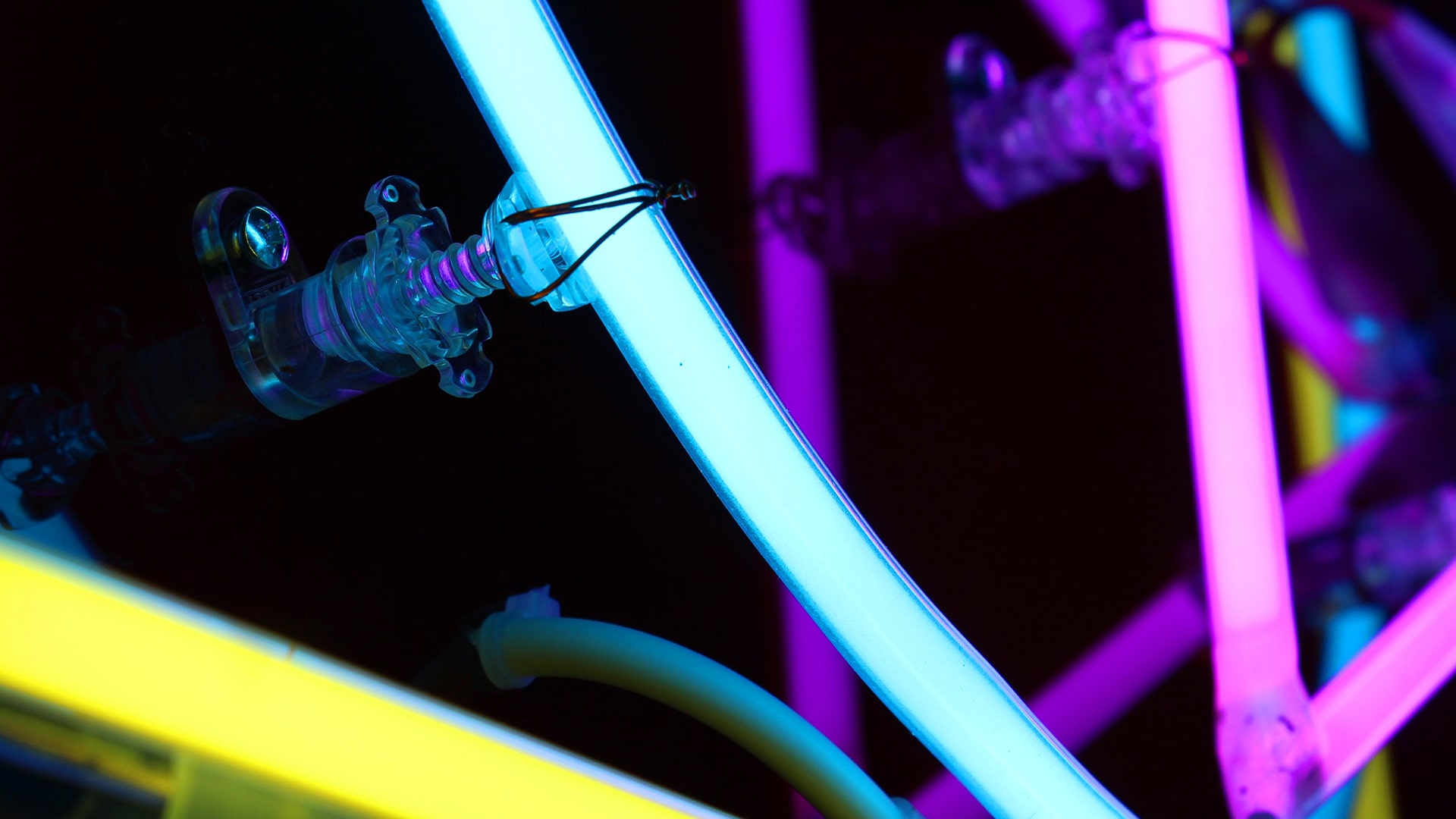 Neon light strips up close in yellow, blue and purple colours.