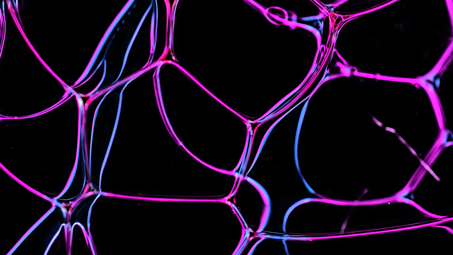 Purple lines resembling a honeycomb in a black background.